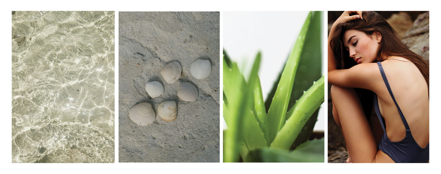 calming images of water, sand and shells, aloe, and a women in a swim suit.
